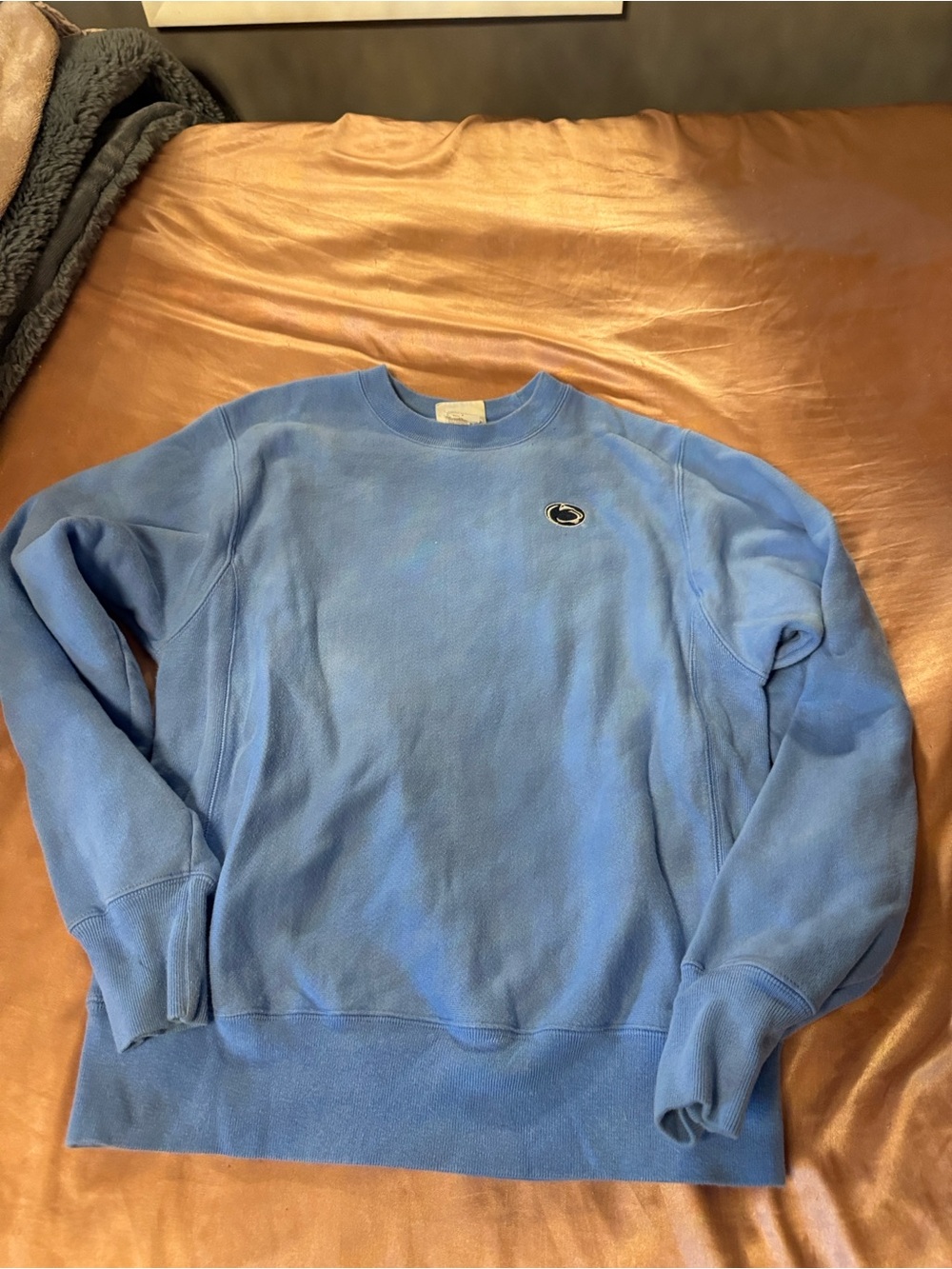 Champion Blue Crewneck Sweatshirt with Small Logo